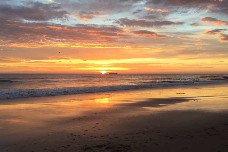 Roo-McCrossan-beach-image-2